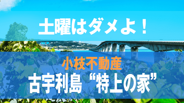 土曜はダメよ 小枝不動産 今帰仁村 古宇利島 特上の家