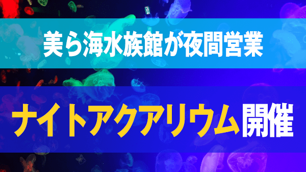 本部町 美ら海水族館 夜間営業 ナイトアクアリウム 開催