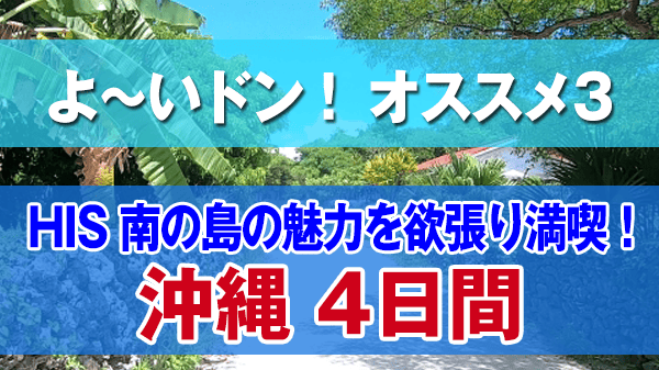 よーいドン オススメ３ HIS 国内ツアー 南の島の魅力を欲張り満喫 沖縄4日間