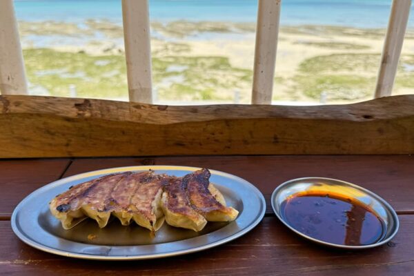 豊見城市 瀬長島ウミカジテラス カプリシャス食堂 アグー豚餃子