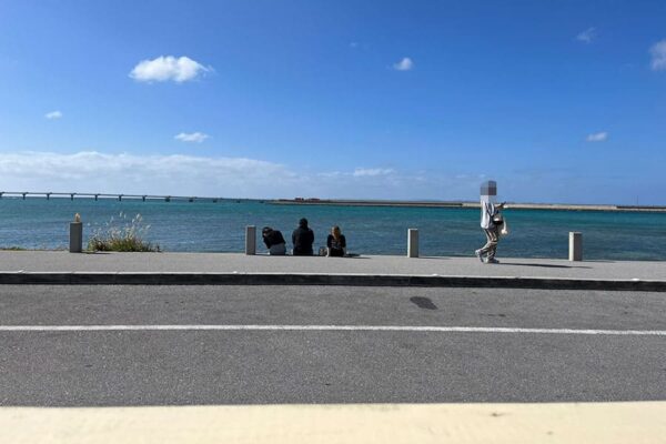 豊見城市 瀬長島ウミカジテラス 沖縄そば もとぶ熟成麵 海ぶどうそば カウンター席 眺め