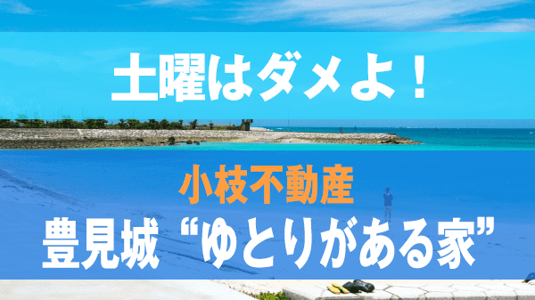 土曜はダメよ 小枝不動産 豊見城市 豊崎 ゆとりがある家