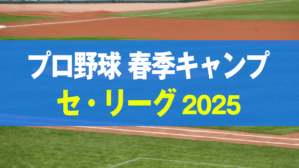 プロ野球 沖縄 春季キャンプ セ・リーグ 2025年