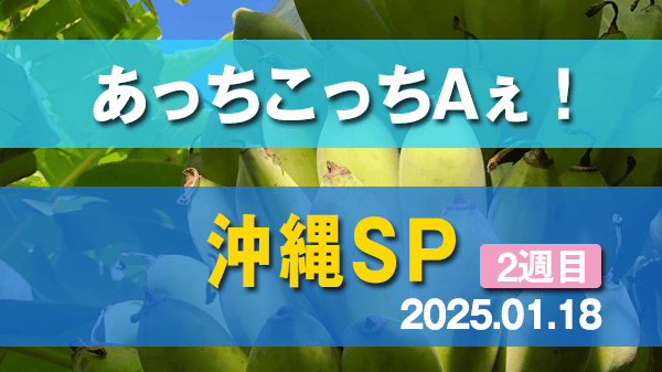 あっちこっちAぇ！ 沖縄SP 2週目