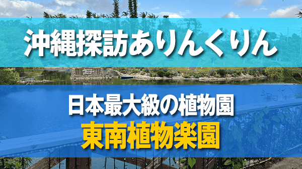 沖縄探訪ありんくりん 植物園 東南植物楽園