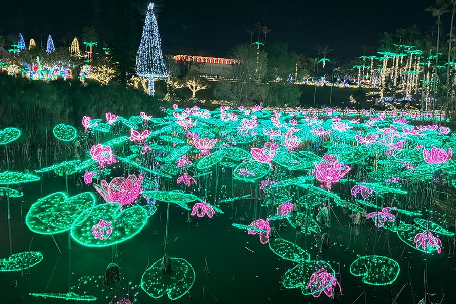 沖縄市 美らヤシパークオキナワ 東南植物楽園 水上楽園エリア 南国イルミネーション ひかりの蓮