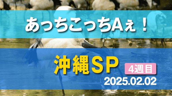 あっちこっちAぇ！ 沖縄SP 4週目 ネオパークオキナワ 動物園 テーマパーク 沖縄そば 進化系