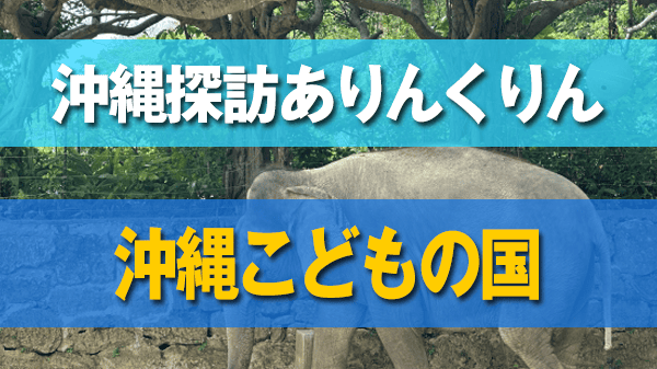 沖縄探訪ありんくりん 沖縄こどもの国